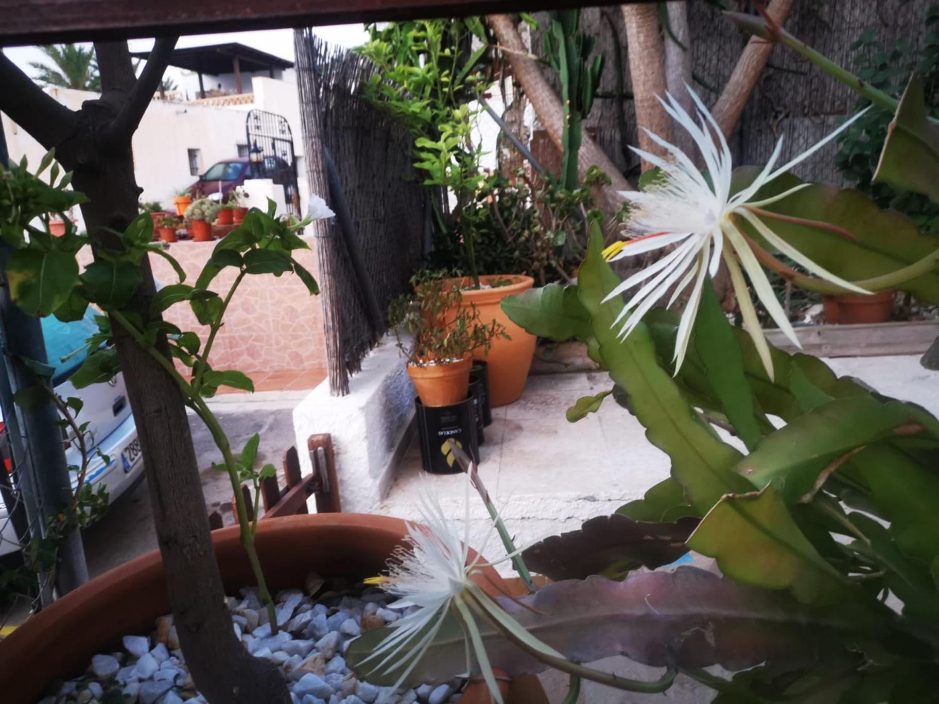 Vivienda Rural En Cabo De Gata Apartment เอล ปอโซ เด ลอส ไฟรเลส ภายนอก รูปภาพ